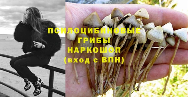 прущие крисы Пролетарск