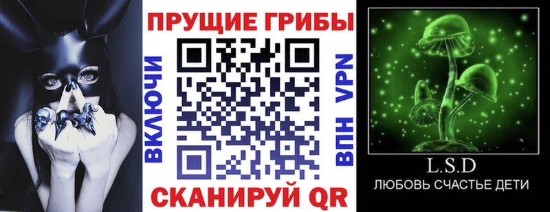 как найти закладки  Санкт-Петербург  Псилоцибиновые грибы мухоморы 