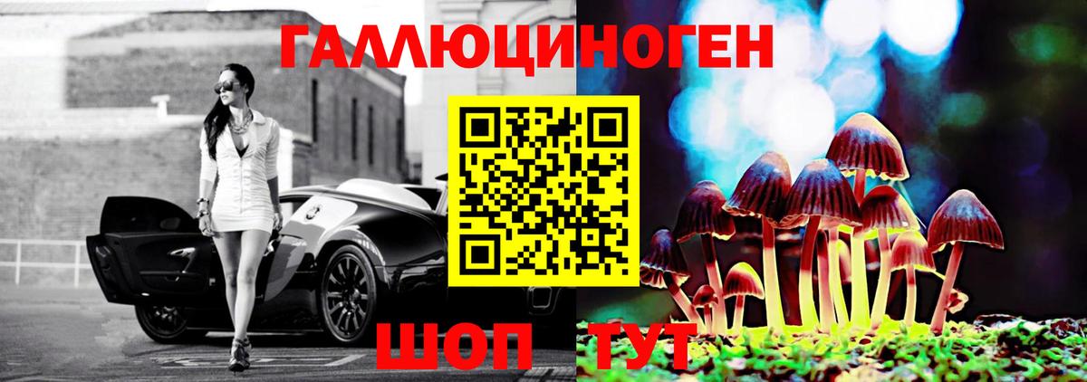 Псилоцибиновые грибы прущие грибы Санкт-Петербург