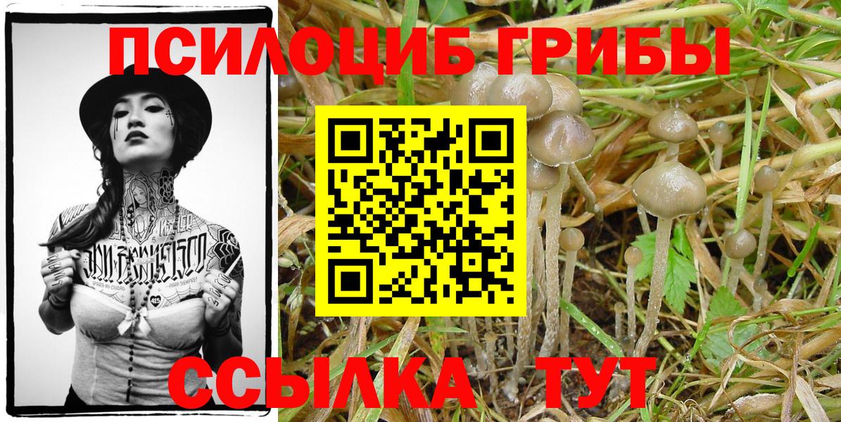 Санкт-Петербург  Галлюциногенные грибы прущие грибы  Вход с VPN 
